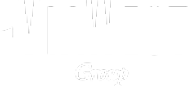 ViaWest Group logo