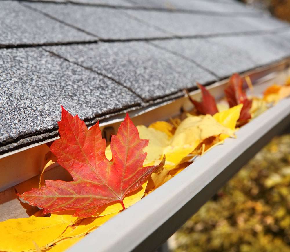 Gutter cleaning in madison